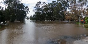 Stock Crossing Stock Crossing