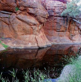 Canning Durba Spring