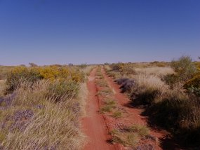 IMGP2457 (800x600) 16