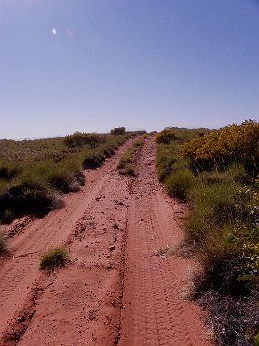 The Track 17 The Track