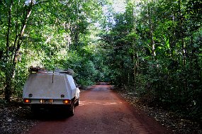 Cape York - Punsand Bay road Road between Cape York & Punsand Bay