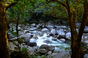 The River Mossman Gorge