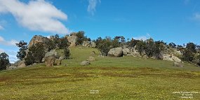 Mt Teneriffe Mt Teneriffe