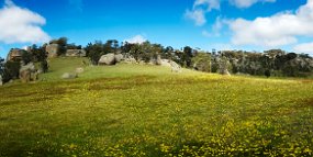 Painting Groupg Excursion 2021 Mt Teneriffe