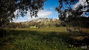 20211017_105834 adj Mt Teneriffe