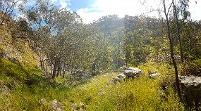 Briens Gorge near Picnic Ground