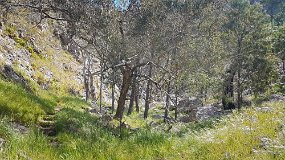 Briens Gorge near Jubilee Falls