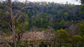 20210913_155657 Wall of Crater at Mt Eccles