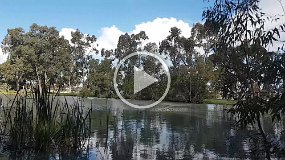 20210918_151646 Equinoxial gales on the lake