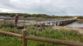 20210914_100909 Surry River Bridge to Ocean Beach at Narrawong Holiday Park