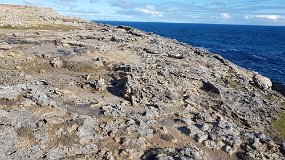 20210914_161724 Cape Bridgewater