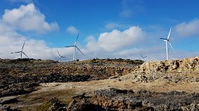 20210914_161747 Cape Bridgewater