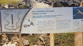 20210914_162201 Bonnie Upwelling