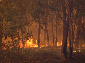 12 Dec 06 In the fire