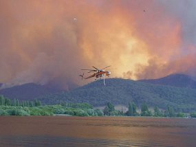 Elvis In Front of Fires Lake Buffalo