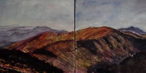 The Razorback 2010 The Razorback