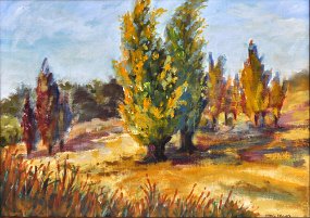 Poplars Schoolhouse Road 2015