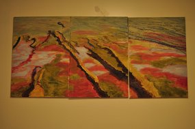 Water on Simpson Desert