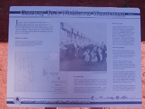 Goongarrie Goongarrie