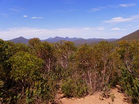 567 Stirling Ranges