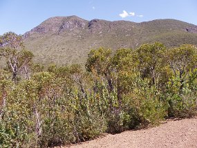 568 Stirling Ranges