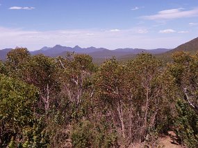 569 Stirling Ranges