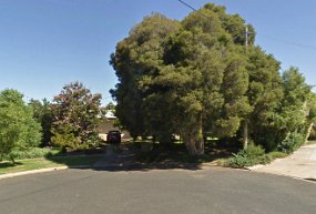 21 Warana Our Favourite Tree