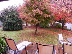 IMGP1801 Front Garden from Deck